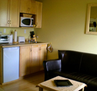 Kitchen in the Suite