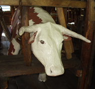 Ox head.