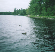 Pristine lakes.