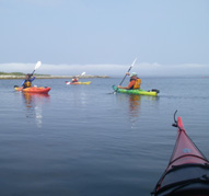 Improve your sea kayaking skills in our classes.