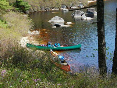 Canoes on the shore