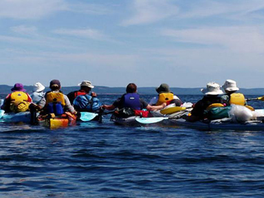 Kayaking on the Bay