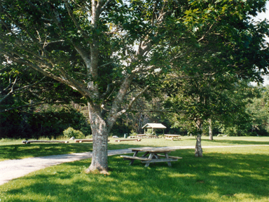 Boylston Provincial Park