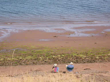 Caribou and Munroes Island Provincial Park