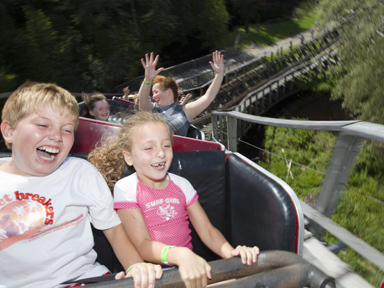 Soar amongst the trees in the Tree Topper Rollercoaster