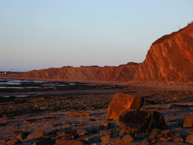 Joggins Fossil Cliffs UNESCO World Heritage Site