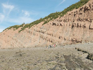 Joggins Fossil Cliffs UNESCO World Heritage Site