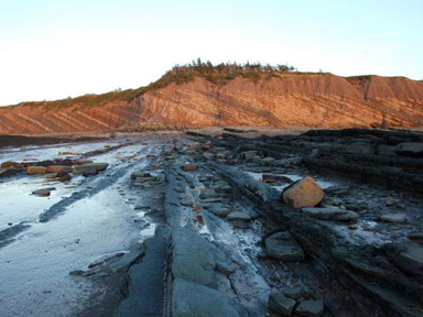 Joggins Fossil Cliffs UNESCO World Heritage Site