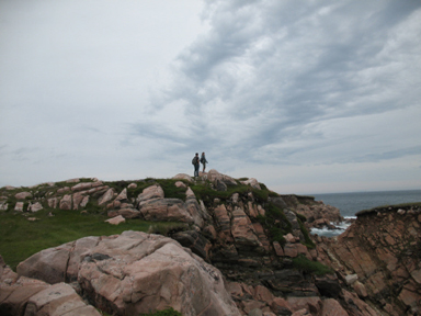 Guided Half-Day Hikes
