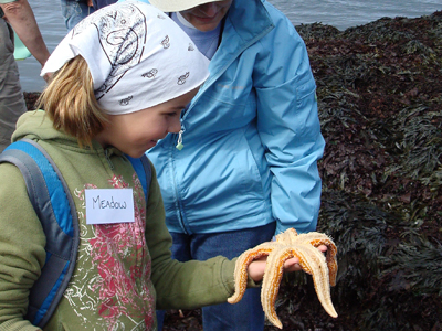 Tactile tube feet touch at the edge of the Bay of Fundy