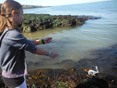 Concentrating on plankton!