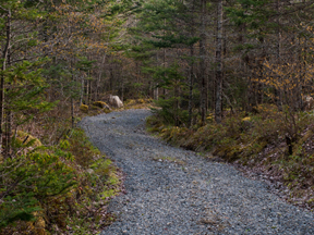 Black Loyalist Heritage Trail
