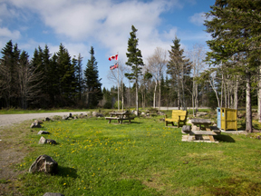 Black Loyalist Heritage Trail