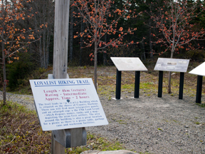 Black Loyalist Heritage Trail
