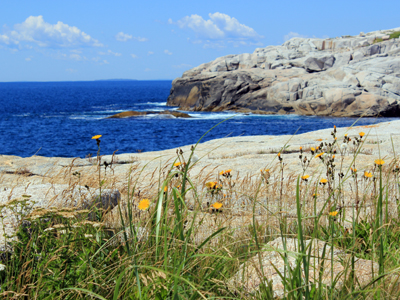 One of our island views