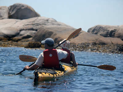 Guests paddling the rugged coastline