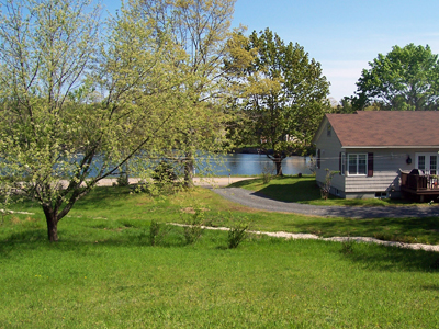 1.9 acres of oceanview, mature fruit trees & woodland