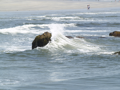 Beach Meadows Beach Park