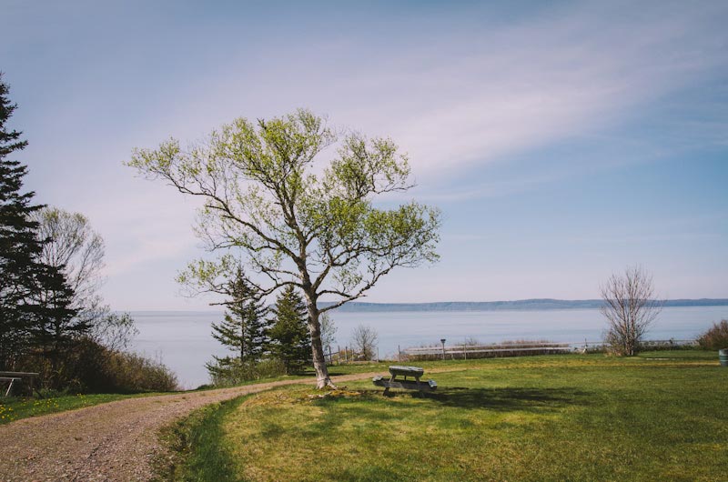 Glooscap Campground & RV photo 5