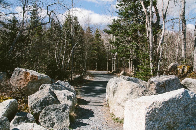 The Bluff Wilderness Hiking Trail The Bluff Wilderness Hiking Trail | Tourism Nova Scotia, Canada