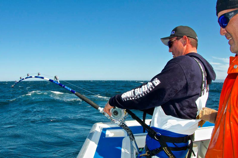 Giant Bluefin Tuna Charters  Tourism Nova Scotia, Canada