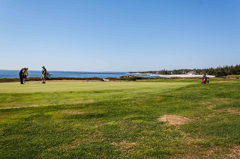 nova golf courses