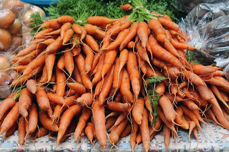 Port Hawkesbury Area Community Market Port Hawkesbury Area Community Market