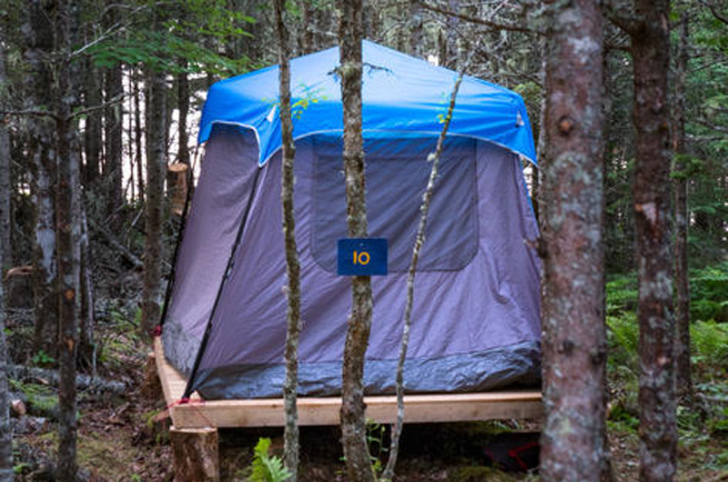 Norse Cove Camping photo 4