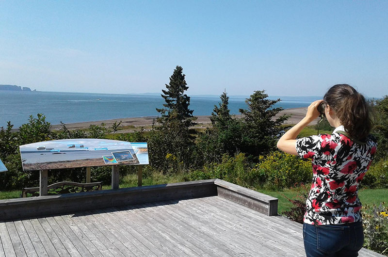 Fundy Ocean Research Center for Energy (FORCE) Test Site