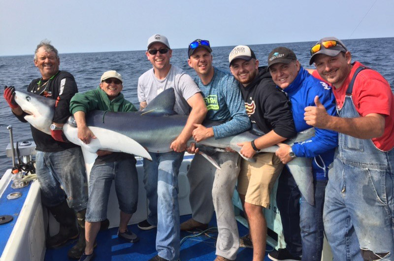 Shark fishing in Nova Scotia