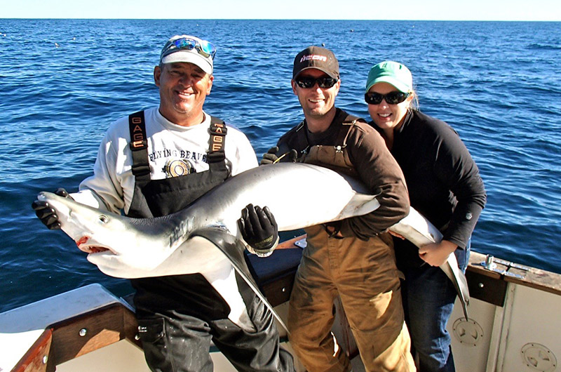Blue Shark Fishing Charters  Tourism Nova Scotia, Canada
