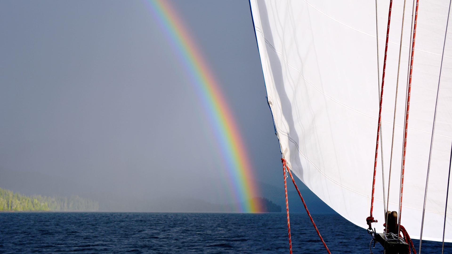 sail listing