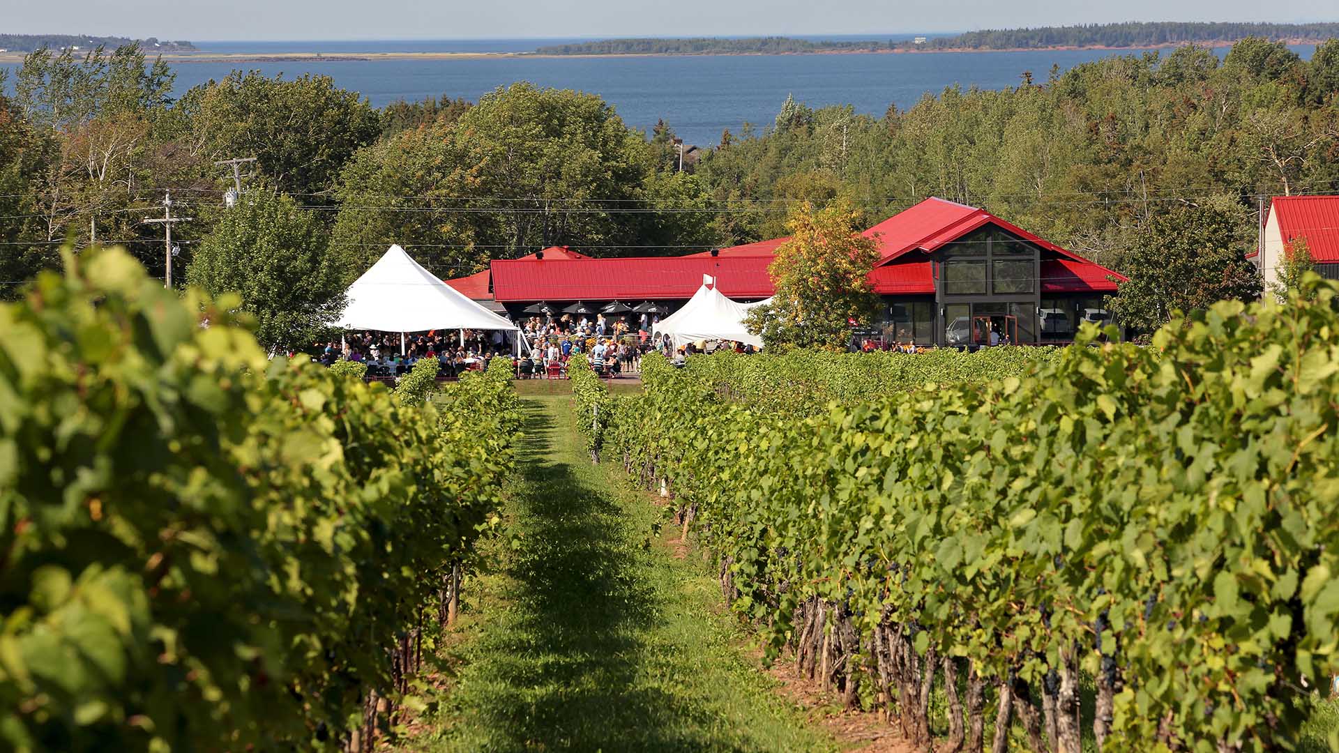 Jost Vineyards  Tourism Nova Scotia, Canada