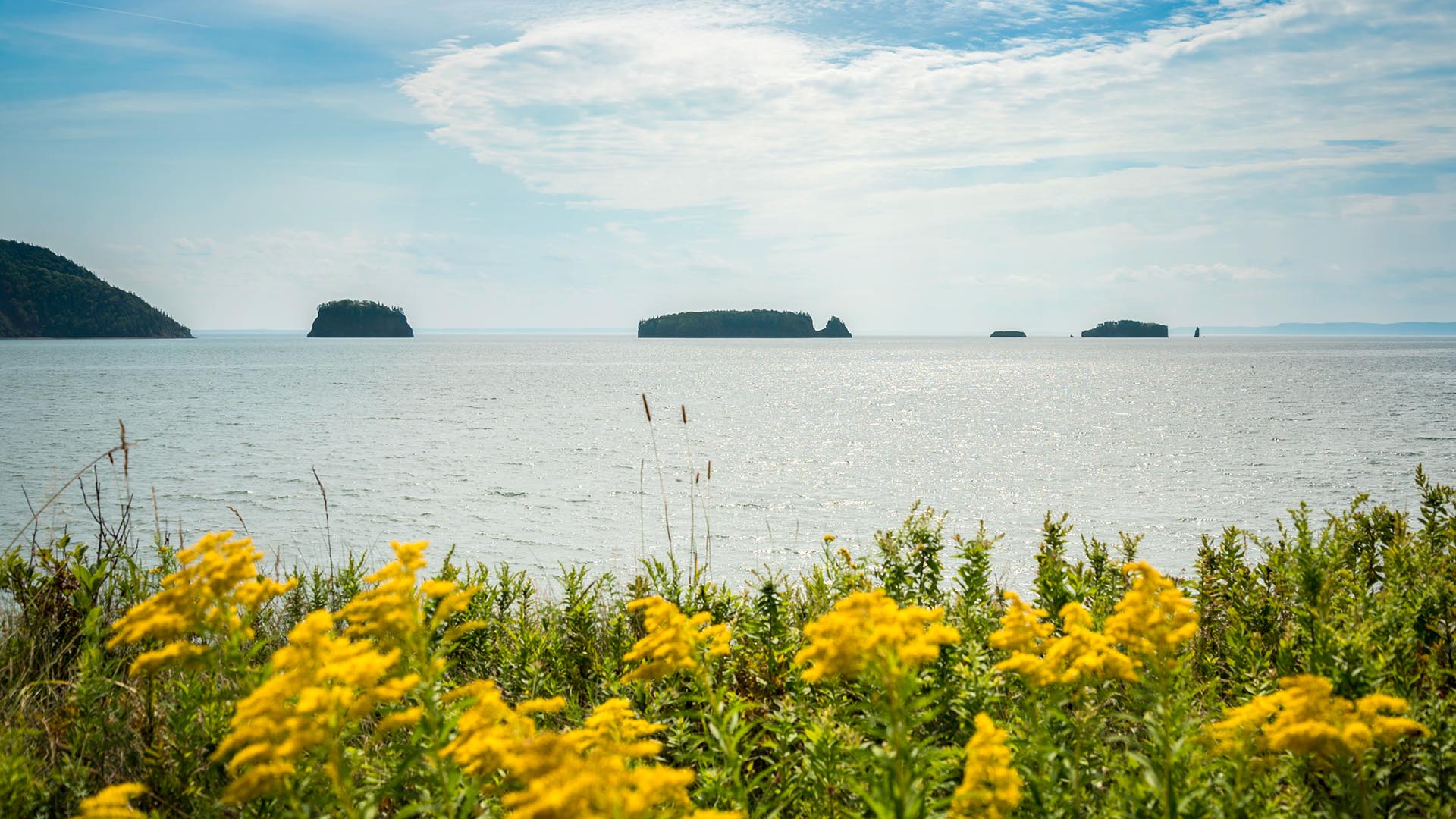 The extraordinary Cliffs of Fundy is now a UNESCO Global Geopark