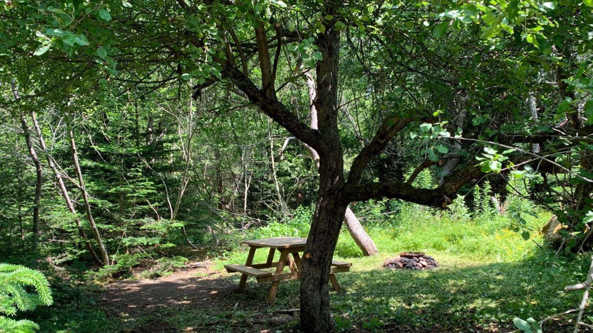 Old Port Campground photo 2