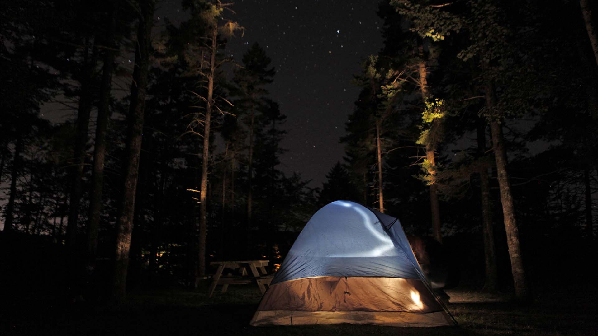 Ellenwood Lake Provincial Park photo 4