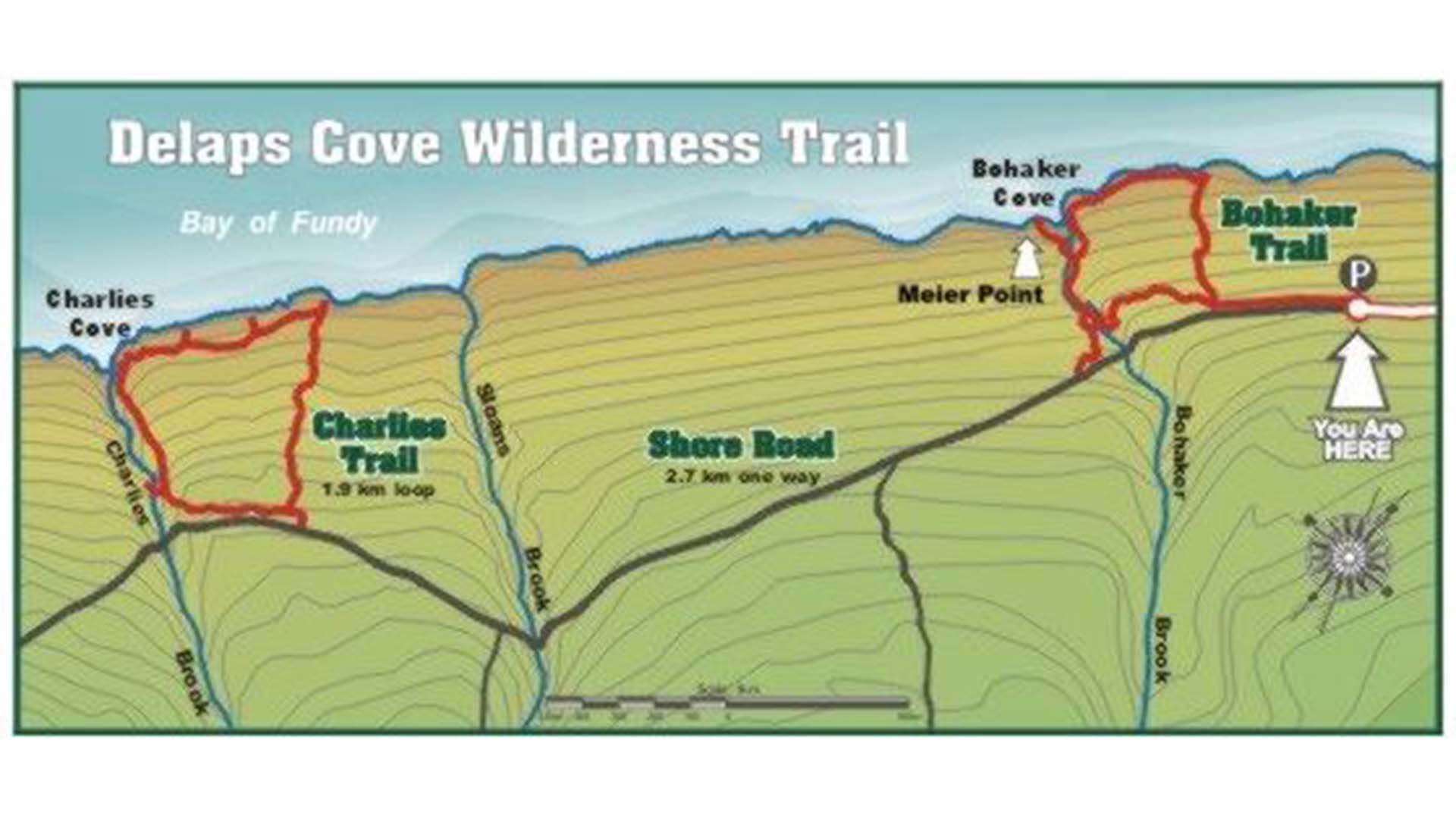 Delaps cove wilderness on sale trail