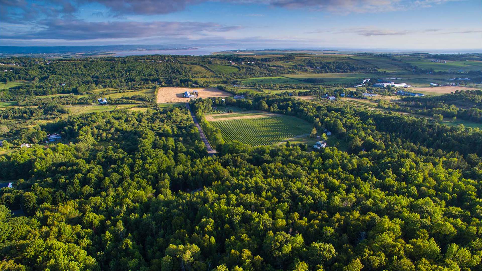 LAcadie Vineyards | Tourism Nova Scotia, Canada