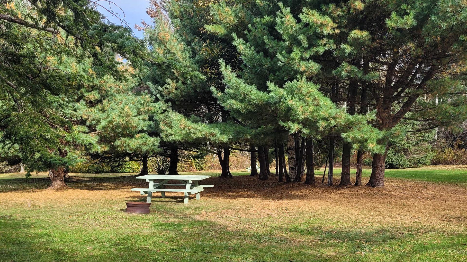 Glooscap Campground & RV photo 2