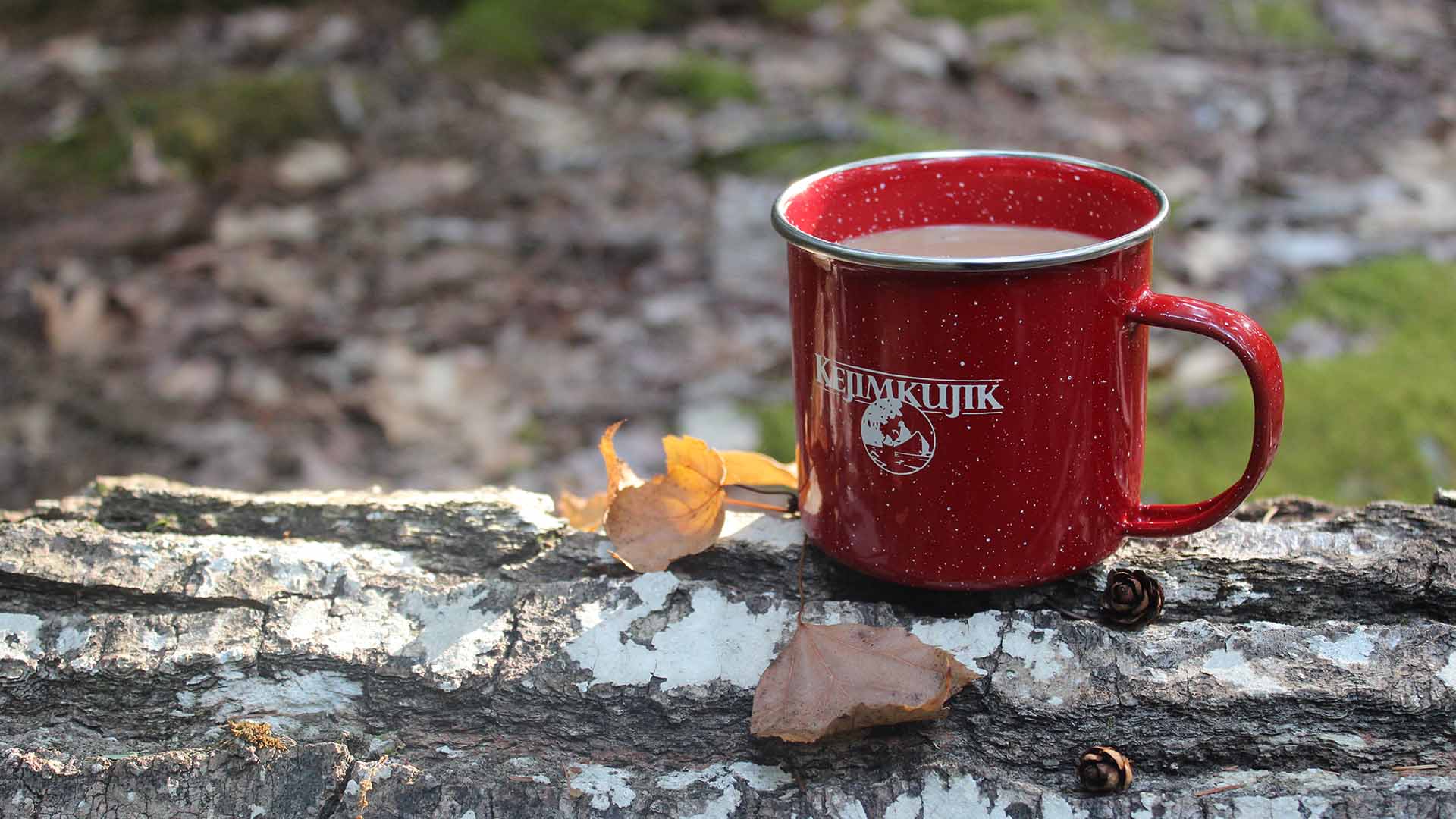 Jeremy's Bay Campground – Kejimkujik National Park & National Historic Site | Tourism Nova Scotia, Canada photo 3