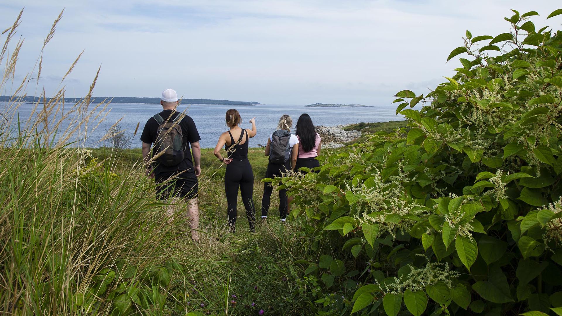 Crystal Crescent Beach Provincial Park | Tourism Nova Scotia, Canada