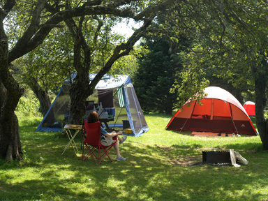 Graves Island Provincial Park