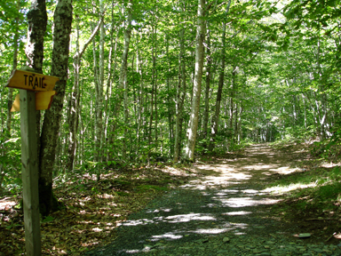 Valleyview Provincial Park photo 4